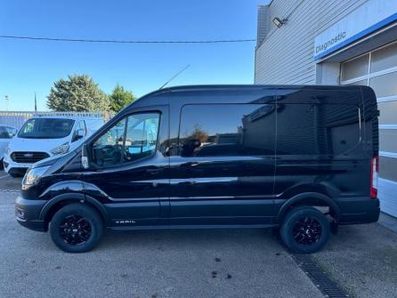 FORD Transit 2T Fg 350 L2H2 2.0 EcoBlue 170ch Trail 4x4 à vendre à Beaune - Image n°8