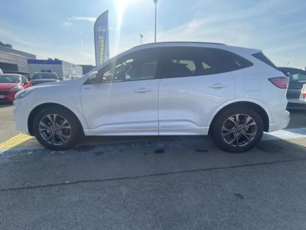 FORD Kuga 2.5 Duratec 190 ch FHEV E85 ST-Line X BVA à vendre à Troyes - Image n°8