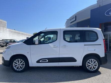 CITROEN Berlingo M BlueHDi 100ch S&S Feel à vendre à Besançon - Image n°8