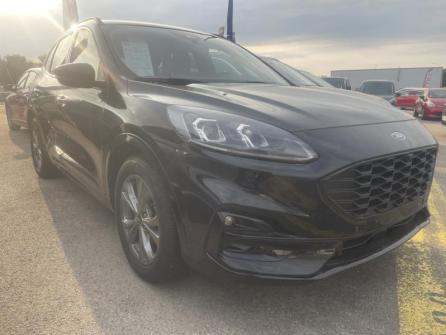FORD Kuga 2.0 EcoBlue 120 ch ST-Line X Powershift à vendre à Troyes - Image n°3
